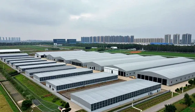企业IT系统升级中的技术发展应对策略
